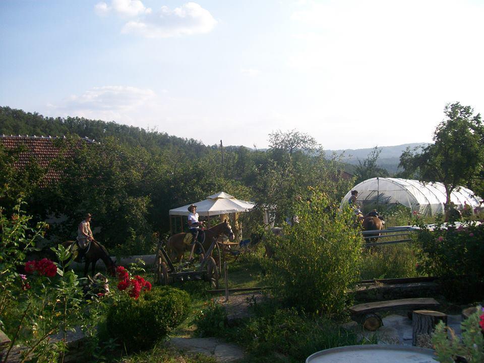 Staroto Shkolo House - Rooms For Guests Subotkovtsi ภายนอก รูปภาพ