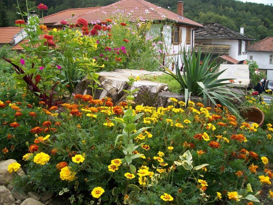 Staroto Shkolo House - Rooms For Guests Subotkovtsi ภายนอก รูปภาพ